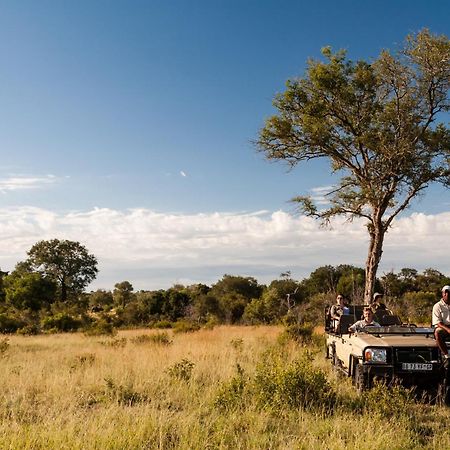 Tintswalo Safari Lodge Manyeleti Game Reserve Exterior foto