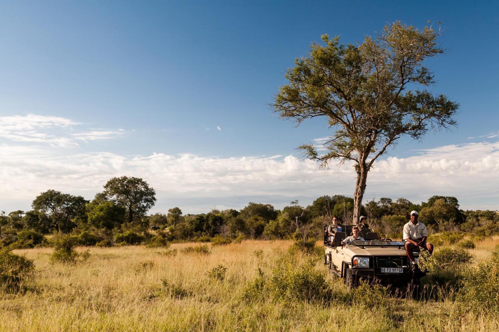 Tintswalo Safari Lodge Manyeleti Game Reserve Exterior foto