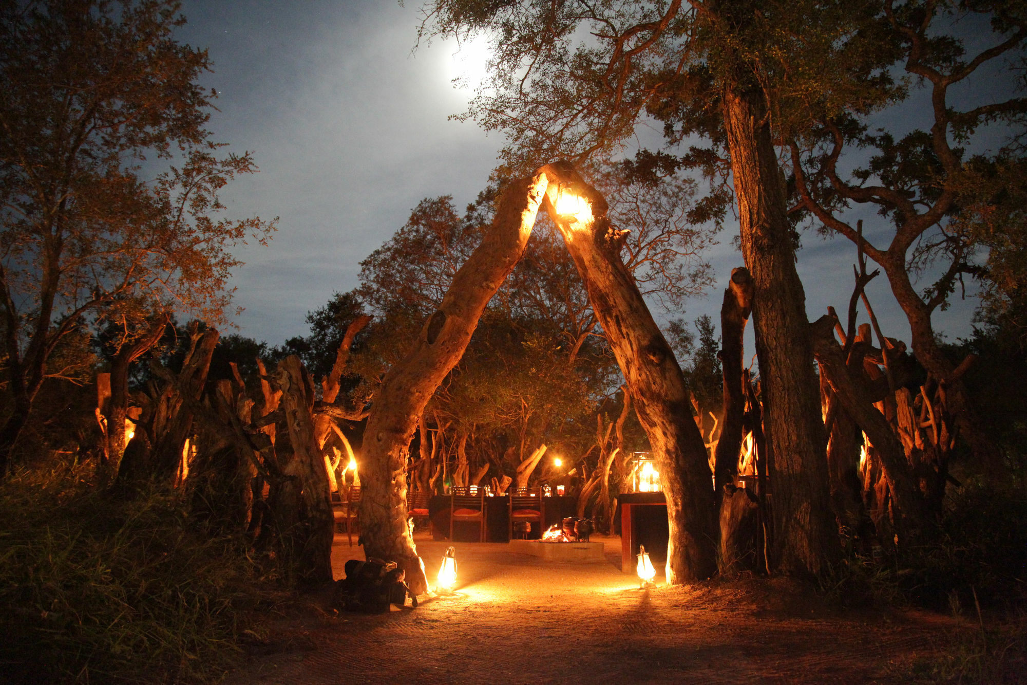 Tintswalo Safari Lodge Manyeleti Game Reserve Exterior foto